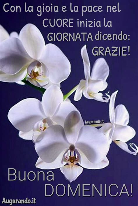 Immagini fantastiche per una buona domenica!