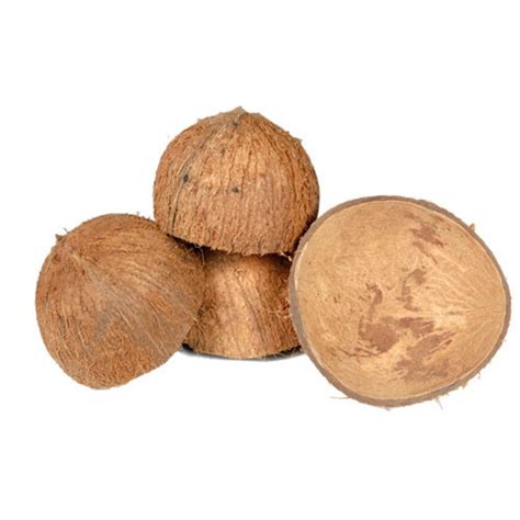 Brown Raw Coconut Shell Packaging Type Loose At Rs 15 Kg In