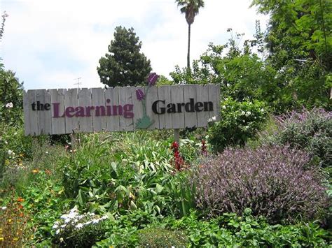 Learning Garden