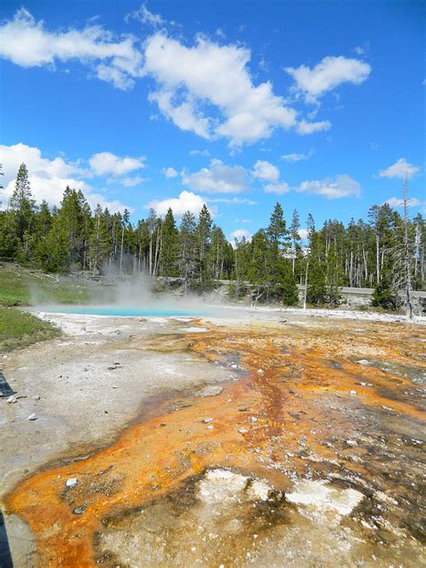 Yellowstone Sulphur Hot Springs Photograph by Laurie Paci