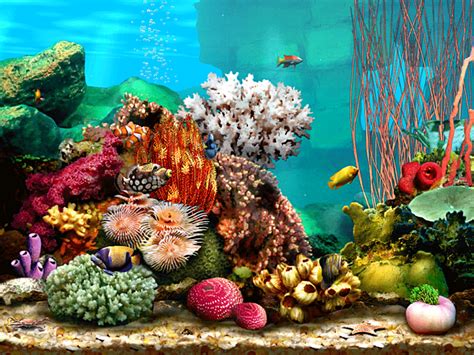 Aquarium Screensaver Marine Aquarium Cool Screensavers