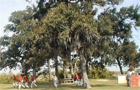 CCHC - 175th Celebration of the "Battle of Anahuac" - June 9, 2007 - Anahuac Texas