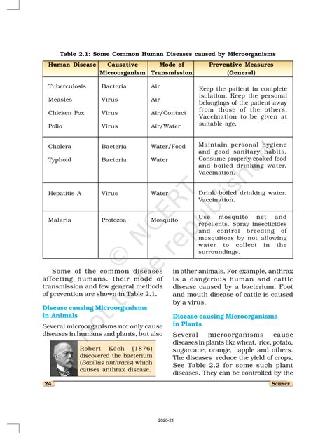 Microorganisms Friend And Foe Ncert Book Of Class Science