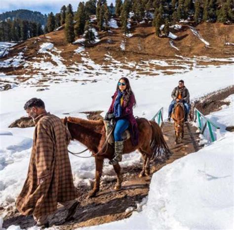 Pony Ride In Jammu And Kashmir