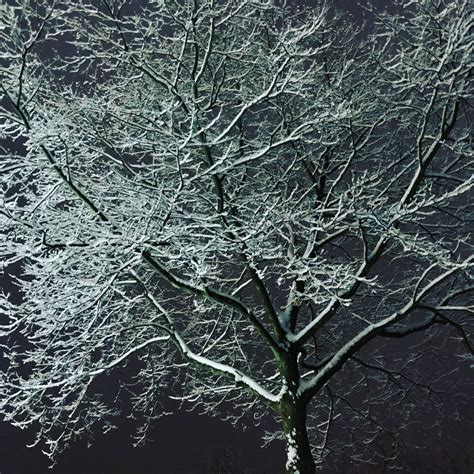 The Noggin Doctor Blog