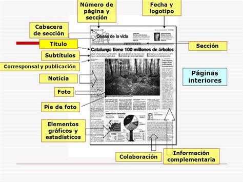 Elementos De La Nota Informativa Curso Para La Unam