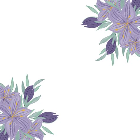 Borda De Flor De Canto Decorativo Lilly Roxo Png Flor Lilly