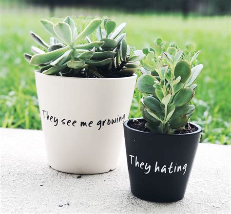 Funny Planter Flower Pot With Saying Outdoor Planters Pot They See Me