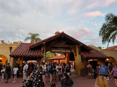 Dozens Of Real Bats Spotted Flying Around Adventureland Frontierland