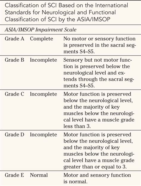 Spinal Cord Injury Grading