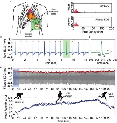 Electrocardiography Ecg Signal And Heart Rate Hr Monitoring Using