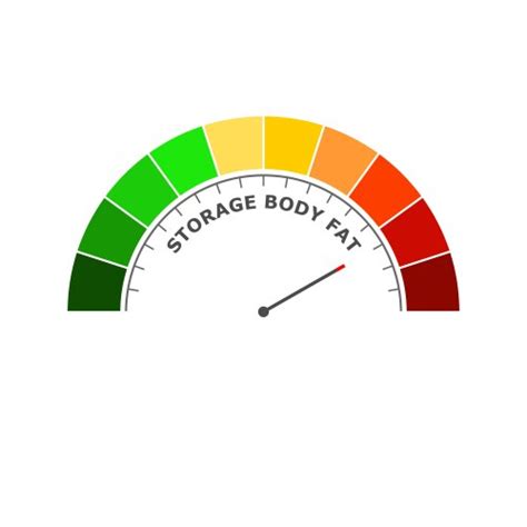 Body fat percentage good level on measure scale Vector Image