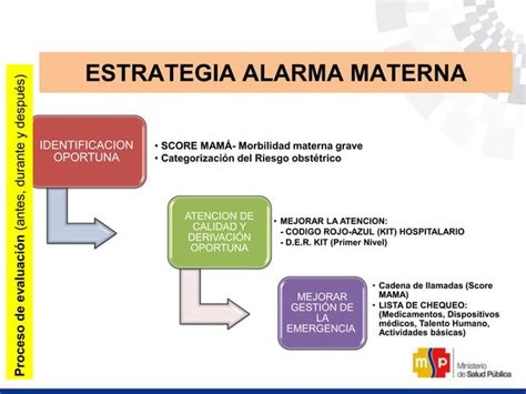 Estrategia Reduccion Muerte Materna Ppt