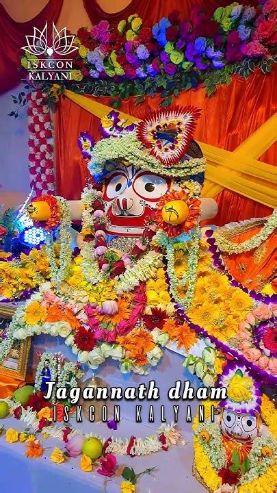 ️ ️ Special Darshan Of Sri Sri Jagannath Baladev Subadra Maharani ️ ️