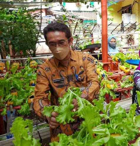 Kelurahan Pademangan Timur Manfaatkan Lahan Terbatas Untuk Kembangkan