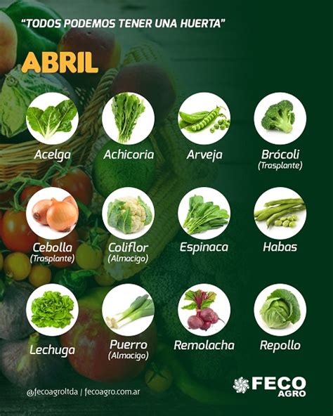 Qu Podemos Sembrar En Nuestra Huerta En El Mes De Abril Fecoagro