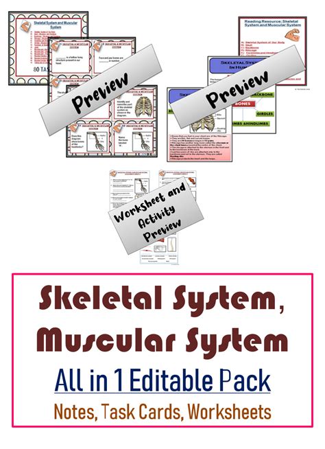 Skeletal System Muscular System All In 1 Editable Pack Grades 4 7