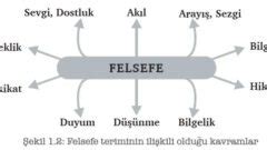 Felsefe Bilgisi Nedir Felsefe Bilgisinin Zellikleri Nelerdir