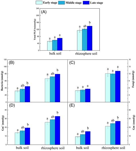 Microbial Functional Group Abundances In Topsoil Based On PLFA