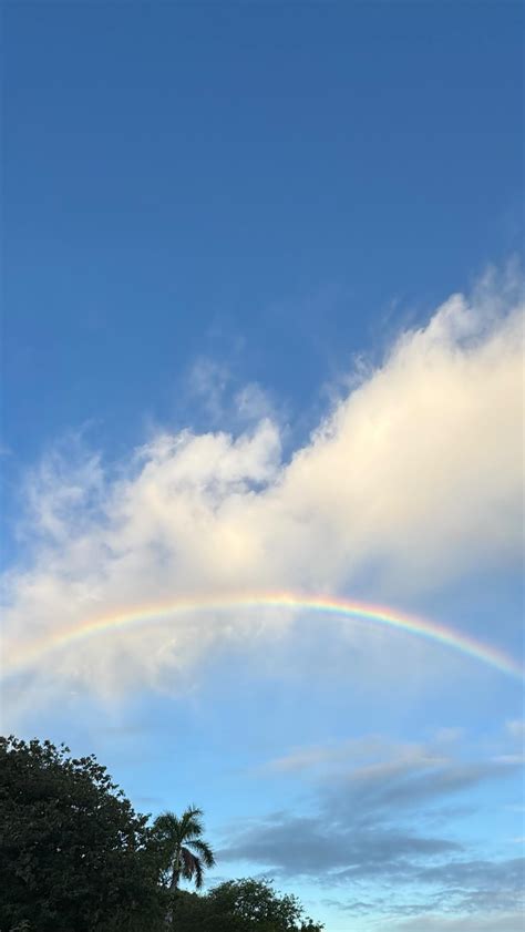 Taiana Tully (@taianatully) • Instagram photos and videos