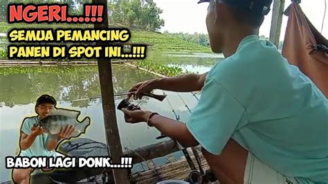 Ngeri Semua Pemancing Panen Di Spot Ini Mancing Di Spot Ini