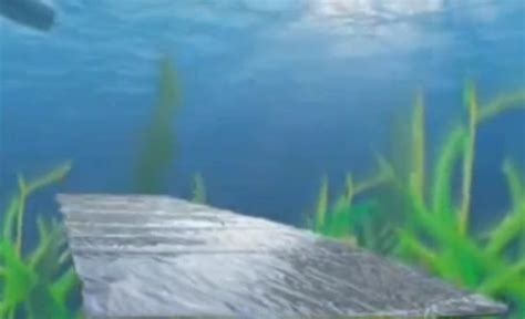 Lake Bottom Blanket Aquatic Weed Control