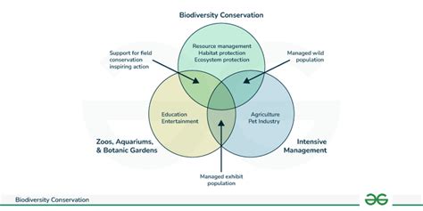 Biodiversity Conservation Geeksforgeeks
