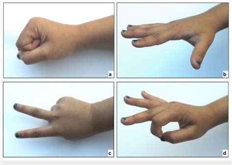 Motor Testing Using Rock Paper Scissors Ok A Rock Tests The