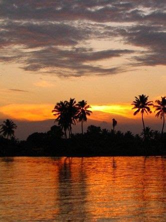 Il Kerala Uno Stato Sulla Costa Tropicale Indiana Di Malabar Ha Quasi