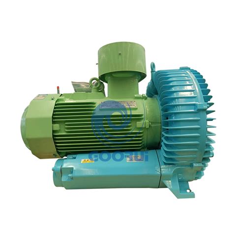 Atex Side Channel Blowers With Customized Special Painting Goorui