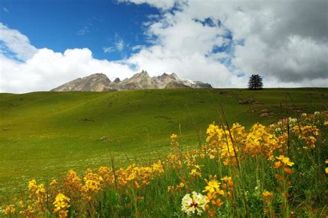 真實美景：四川格聶神山 每日頭條