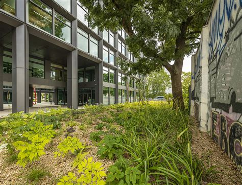 Firmensitz Sachsenenergie Ag Blaurock Landschaftsarchitektur Dresden