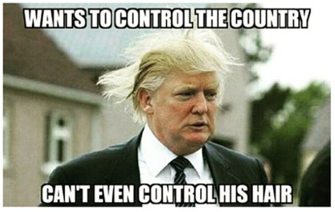 Donald Trump Meme Wants To Control The Country Cant Even Control His Hair I | Creative Ads and more…