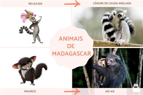 Macacos Do Filme Madagascar - 10
