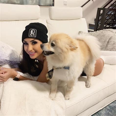 Pin by Zawad on Reya Sunshine | Corgi, Doggy, Animals