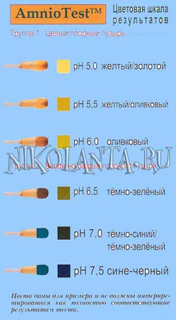 Тест На Околоплодные Воды Инструкция - topikweekly
