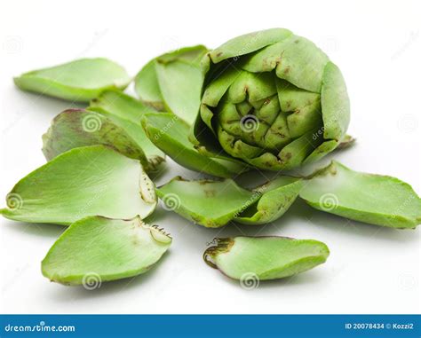 Artichoke And Scattered Leaves Stock Photo Image Of Green Delicious