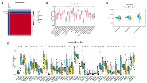 Construction And Validation Of M A Lncrna Risk Score Signature A