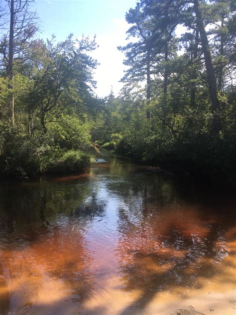 217 best Pine Barrens images on Pholder | South Jersey, Newjersey and