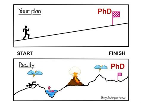 Tips To Start Your Phd Surrey Meets The Middle East