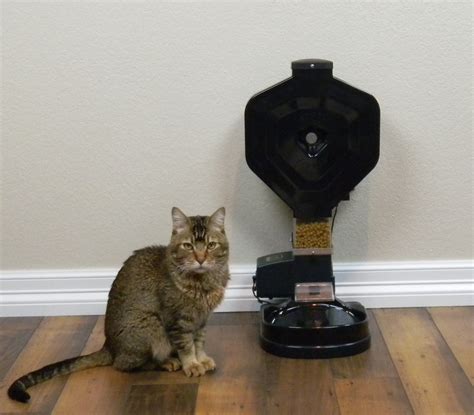 Csf 3xl 18a Automatic Cat Feeder Combo Super Feed