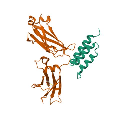 Rcsb Pdb Wwi Crystal Structure Of The C Domain Of Staphylococcal