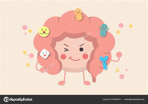 Intestines Human Organs Effect Probiotics Digestive Tract Stock Vector Image By ©chiuu 651820818