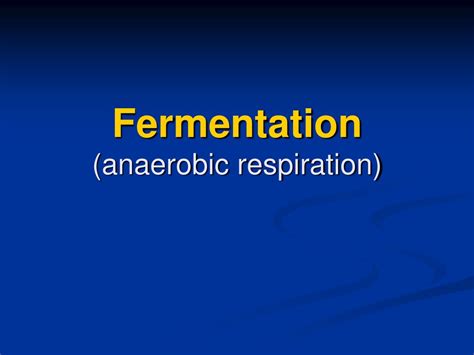 Ppt Fermentation Anaerobic Respiration Powerpoint Presentation