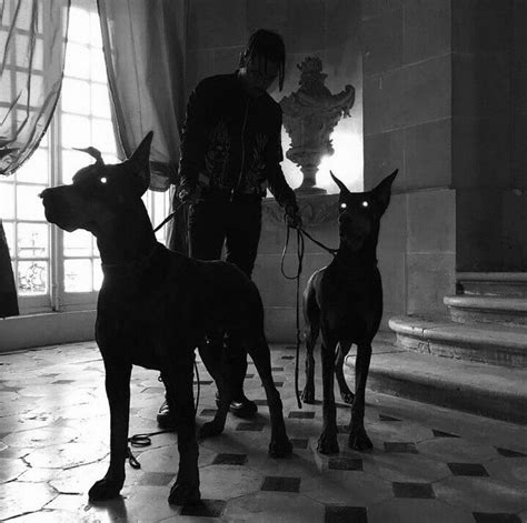 𝐖𝐫𝐢𝐭𝐞𝐫'𝐬 𝐆𝐮𝐢𝐝𝐞 | Scary dogs, Doberman pinscher, Doberman