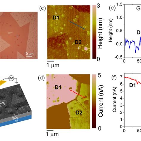 Schematic Illustration Of Conductive Atomic Force Microscopy C Afm