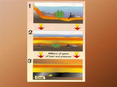 The Fossil Fuel Dilemma Science With Mrs Pizzimenti