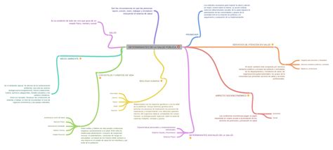 Determinantes De La Salud PÚblica Explode Coggle Diagram