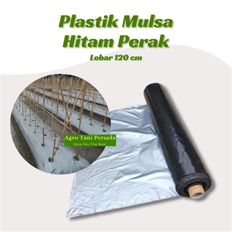 Plastik Mulsa Hitam Perak Lebar Cm Penutup Tanah Bedengan Lazada