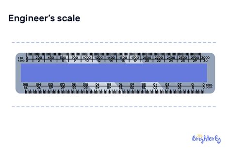 Ruler Definition With Examples